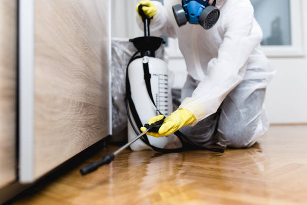 Best Pest Control Treatment  in Okauchee Lake, WI