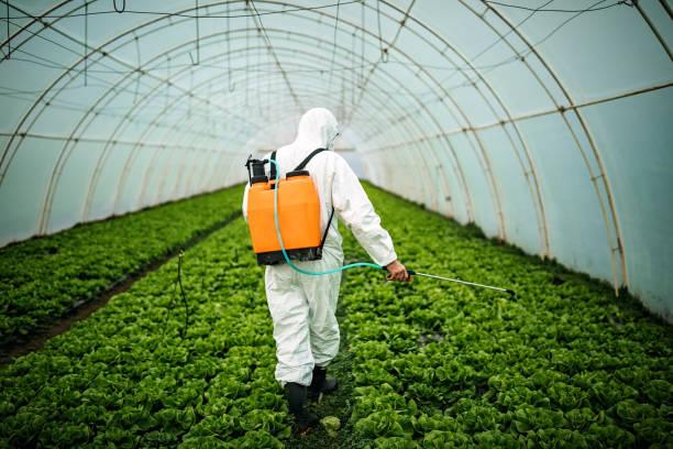 Best Pest Control Near Me  in Okauchee Lake, WI