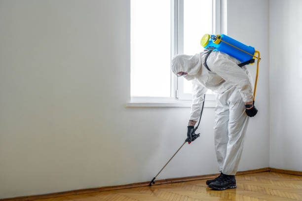 Best Insect Control  in Okauchee Lake, WI